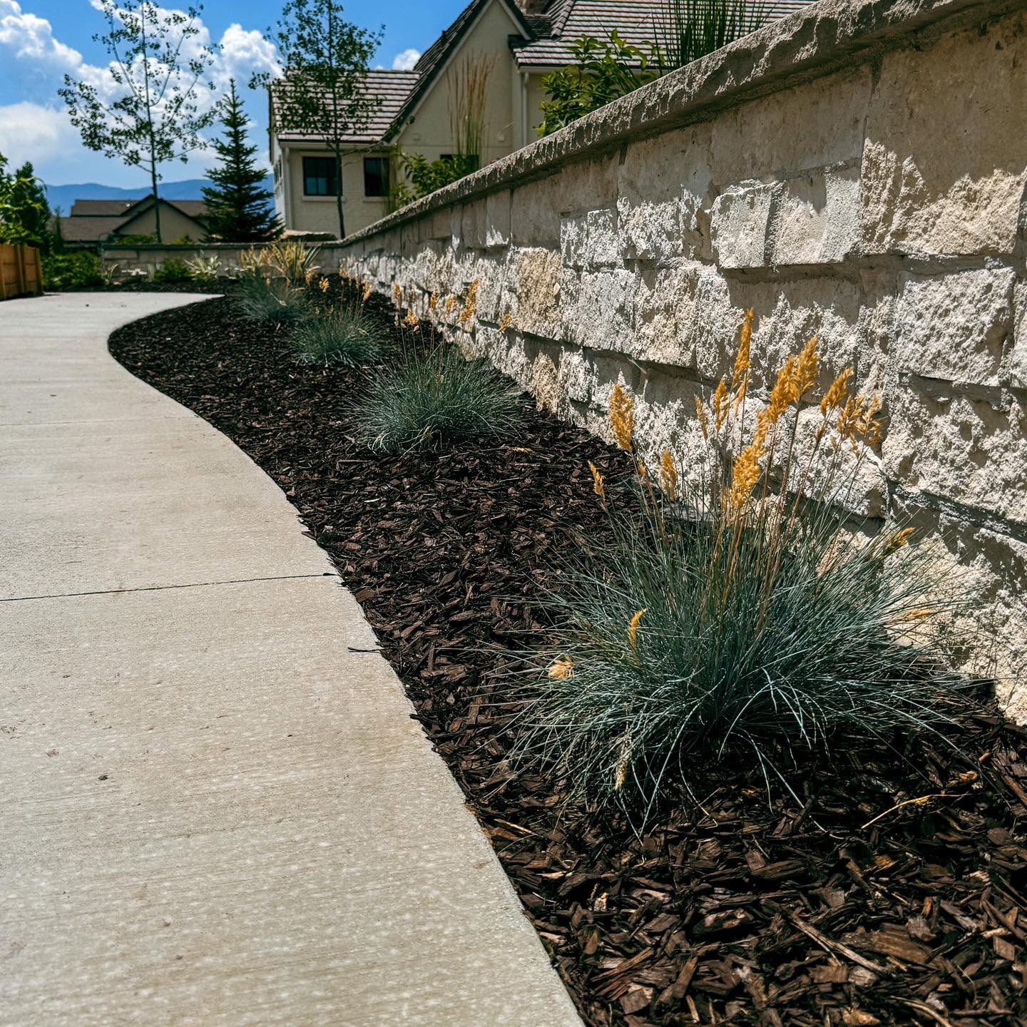 Finished curved walkway with mulch and ornamental grasses